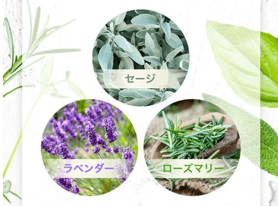 リバランシャンプー